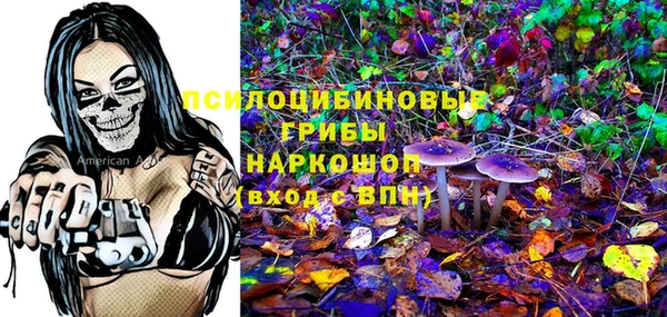 spice Зеленодольск