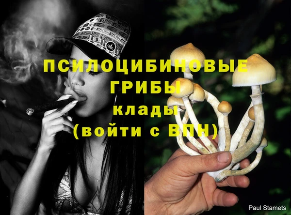 дмт Абдулино
