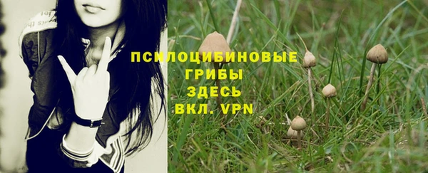 гидропоника Абаза