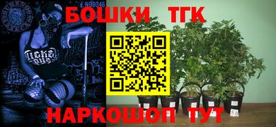 прущие крисы Гуково